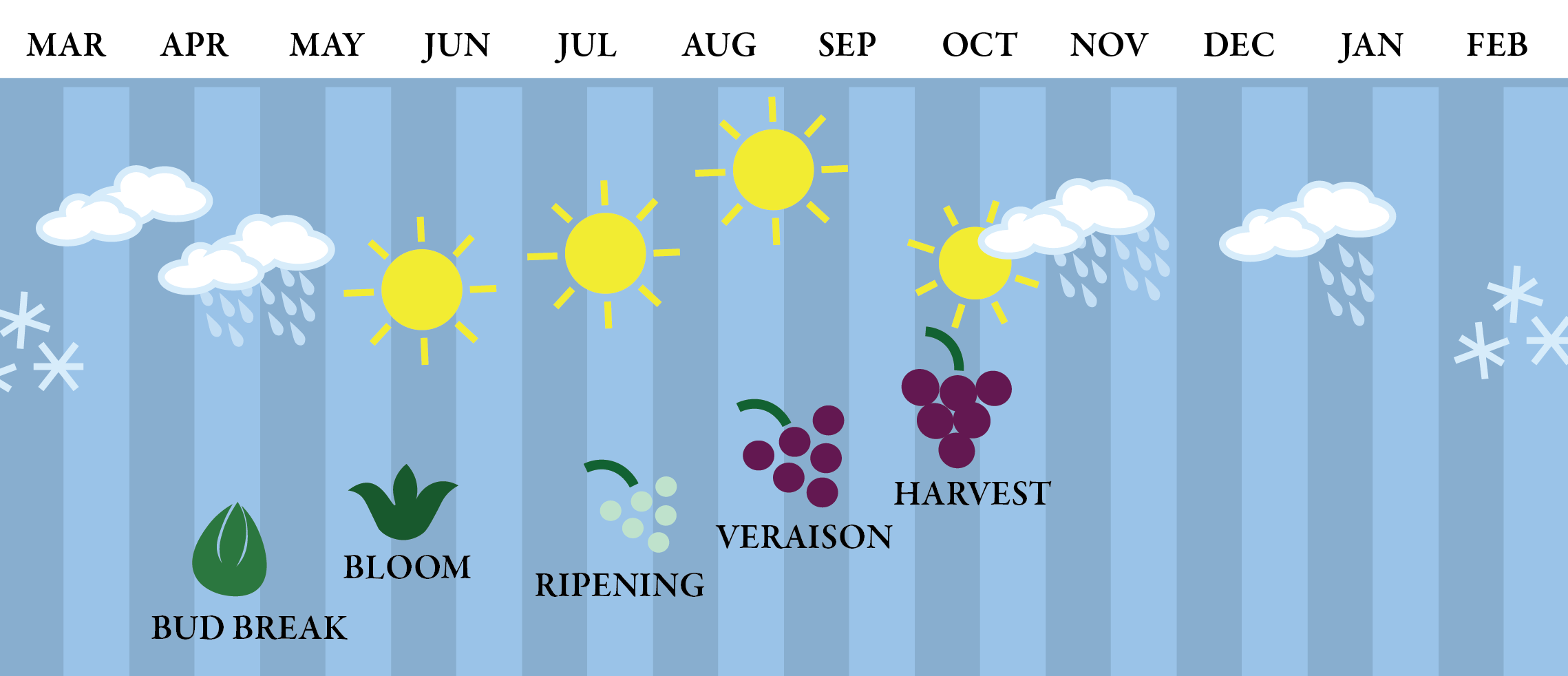 Oregons Wine Seasons